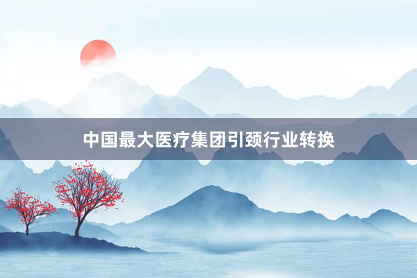 中国最大医疗集团引颈行业转换