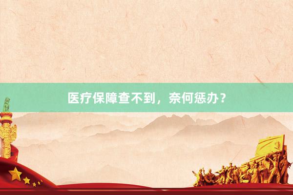医疗保障查不到，奈何惩办？