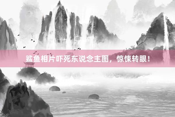 鲨鱼相片吓死东说念主图，惊悚转眼！